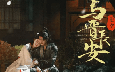 快帆海外如何看《与晋长安》？快帆解锁爱奇艺地区限制