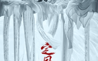 快帆海外如何看《定风波》？快帆解锁爱奇艺地区限制