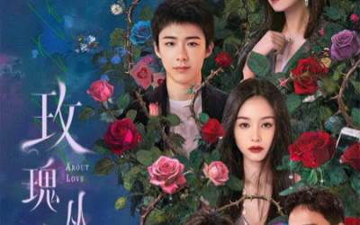 快帆海外如何看《玫瑰丛生》?快帆解锁腾讯视频地区限制